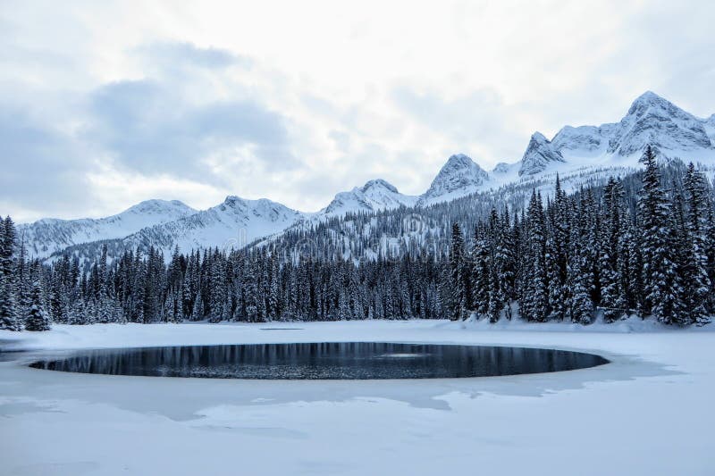 从艾兰湖在Fernie，不列颠哥伦比亚省，加拿大的难以置信的多雪的看法 庄严冬天背景是秀丽 库存图片